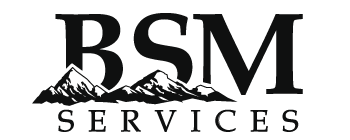BSM Services